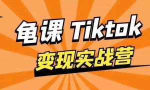 ΡTikTokʵսѵӪϵ1ڣֱģʽ׬᡿