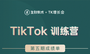 TikTokѵӪӪ׬TikTok4022