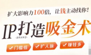 IP00ԴҲӰ100Ǯ㣡